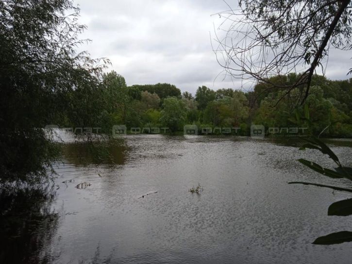 Коттедж/дом ул. Нижняя