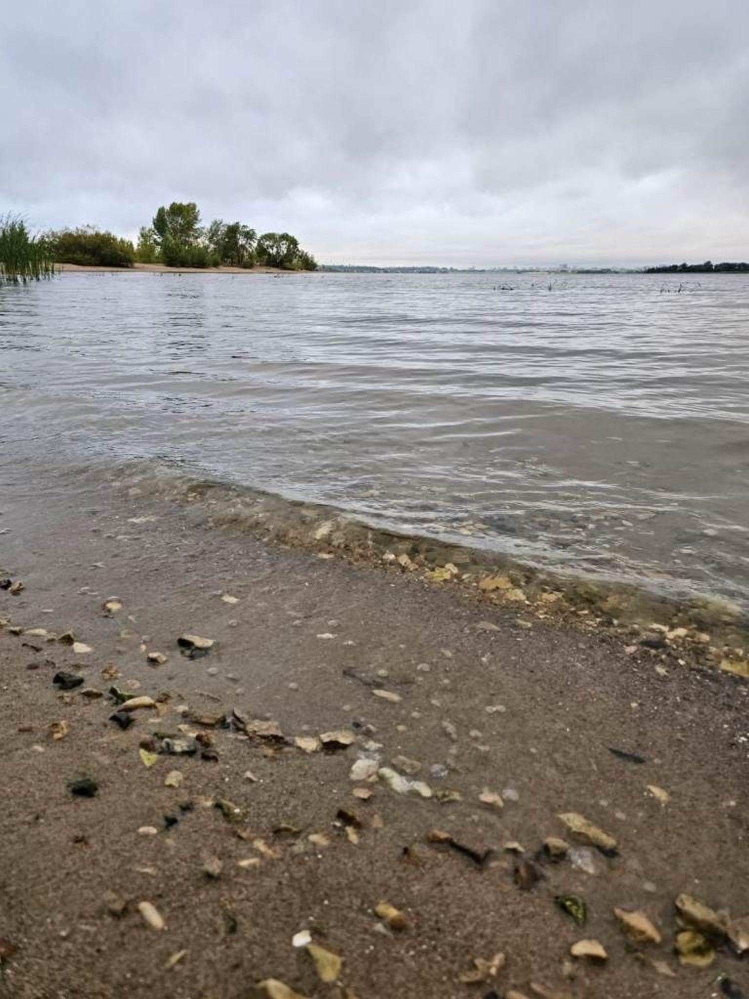 Купить ОСЗ, отдельно стоящее здание за 80 000 000 рублей на Восточная, 5а
