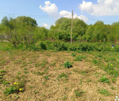 земля 902 сот 