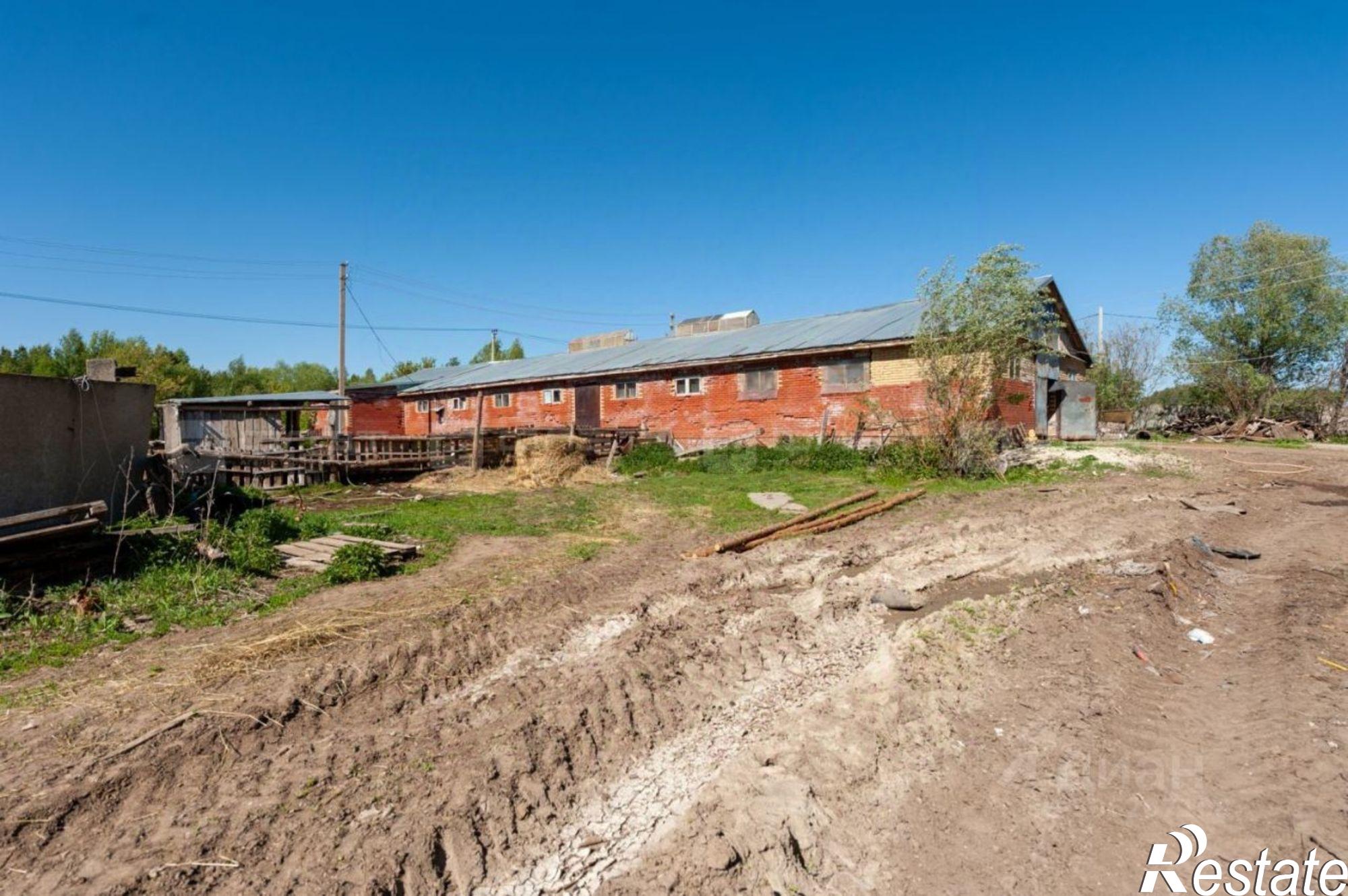 Купить ОСЗ, отдельно стоящее здание за 100 002 000 рублей на Татарстан, Пестречинский, Пестрецы