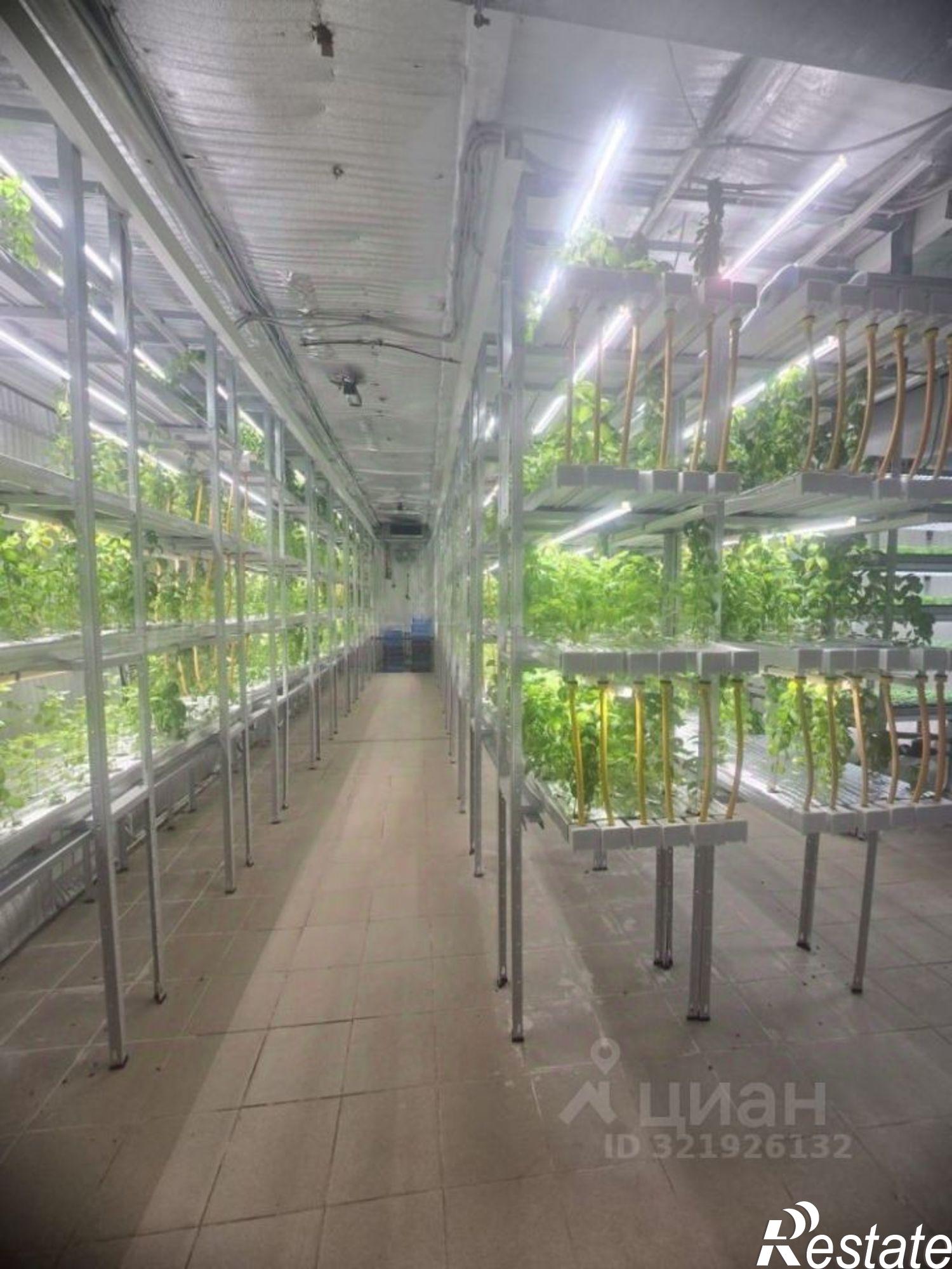 Купить ОСЗ, отдельно стоящее здание за 9 993 680 рублей на Татарстан, Высокогорский, Яшь Кеч