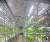 ОСЗ 308 кв м Татарстан, Высокогорский, Яшь Кеч