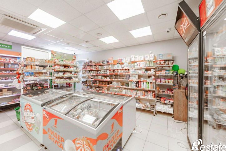 Отдельное здание Татарстан, Лаишевский, Большие Кабаны