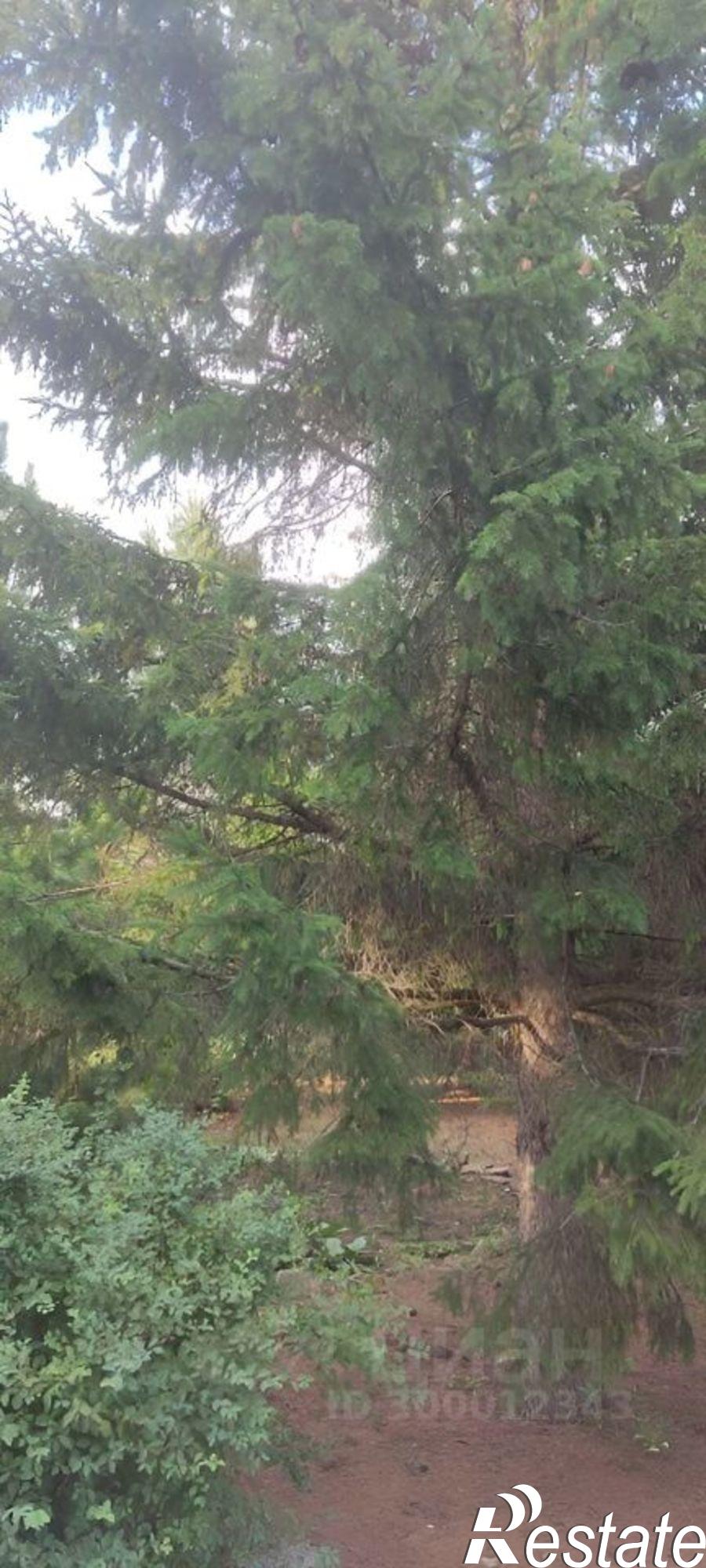 Купить землю, земельный участок за 4 500 000 рублей