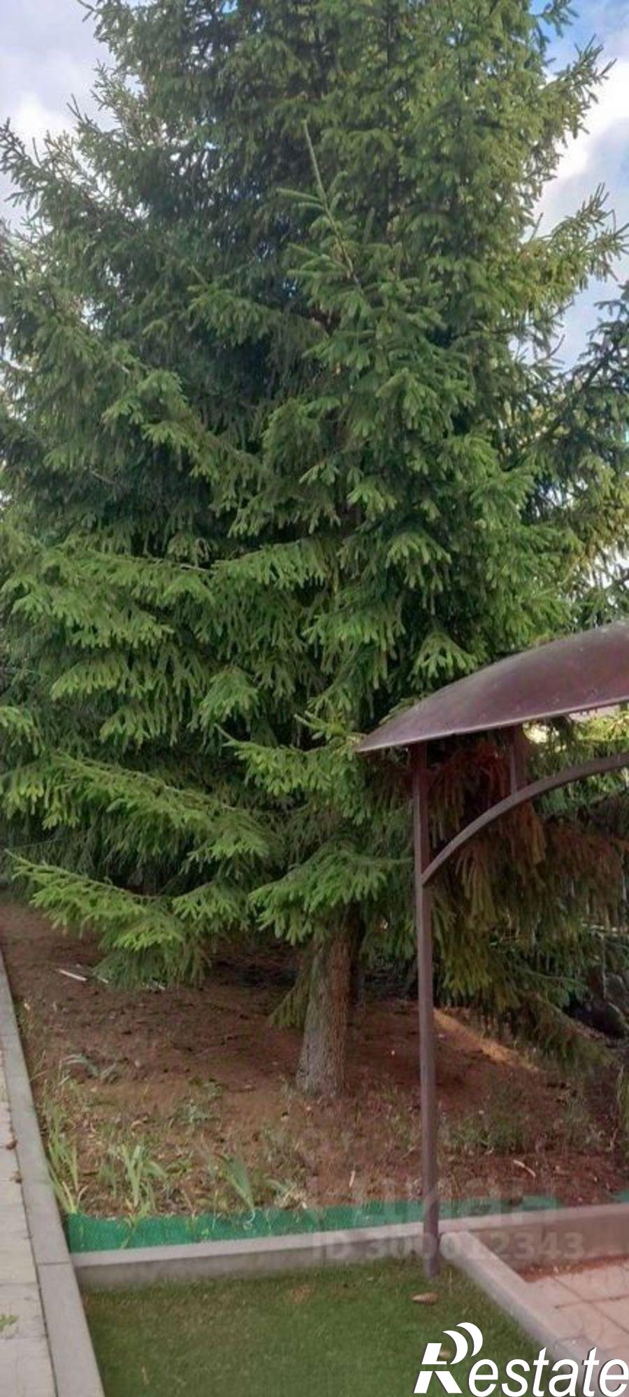 Купить землю, земельный участок за 4 500 000 рублей