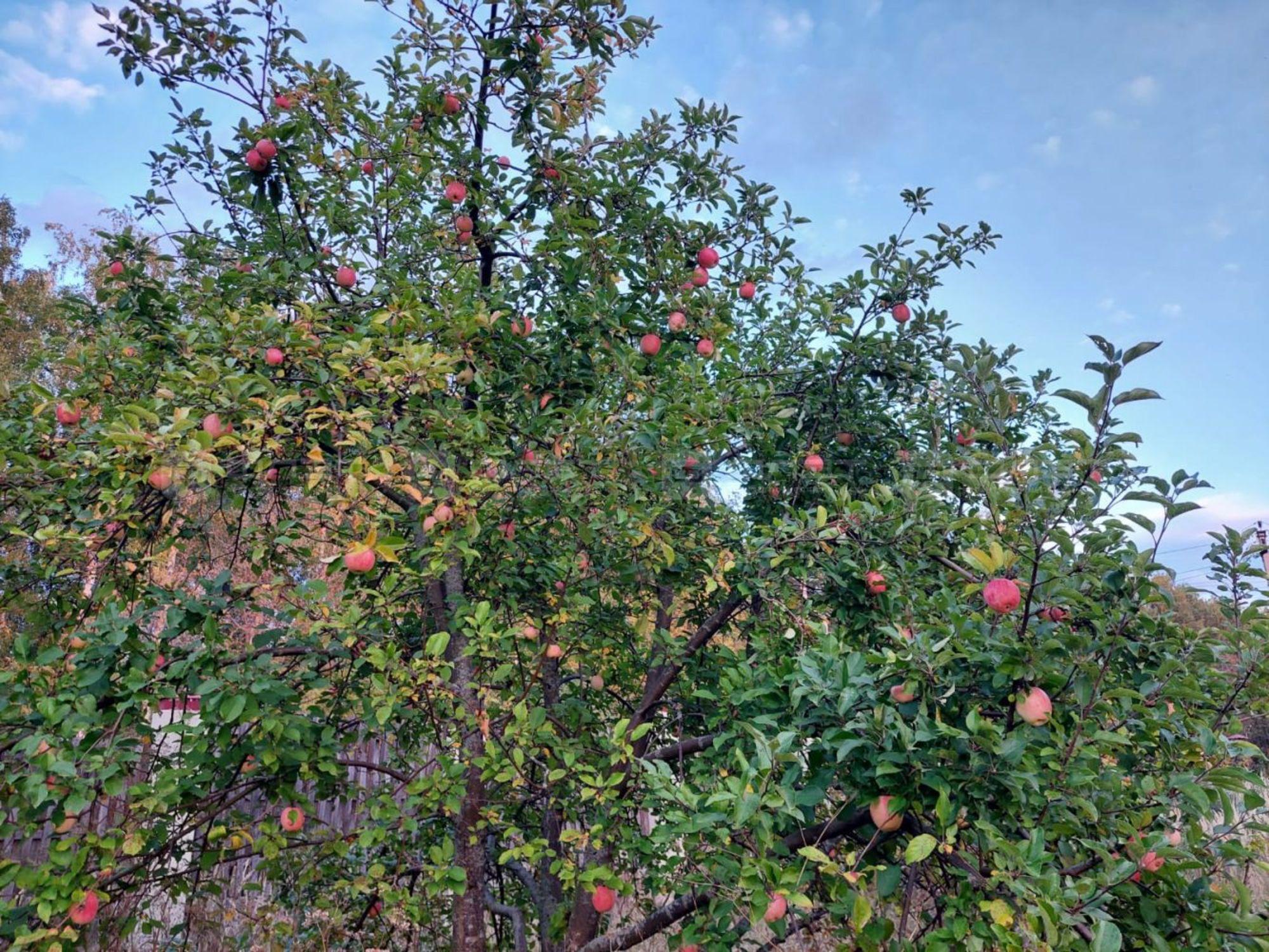 Купить землю, земельный участок за 11 700 000 рублей на ул. Нагорная