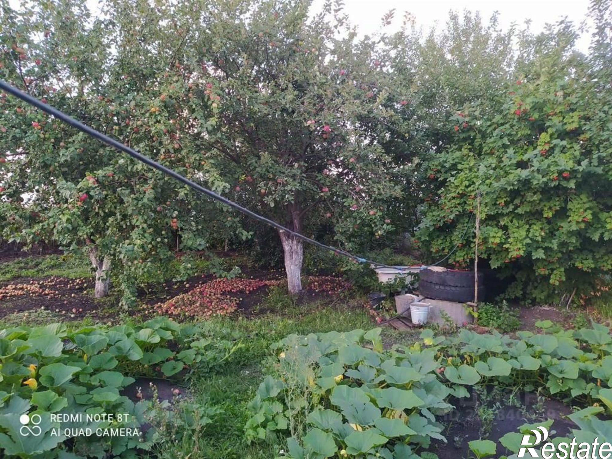 Купить дачу, дом, коттедж за 1 200 000 рублей на улица Тарн-Варн