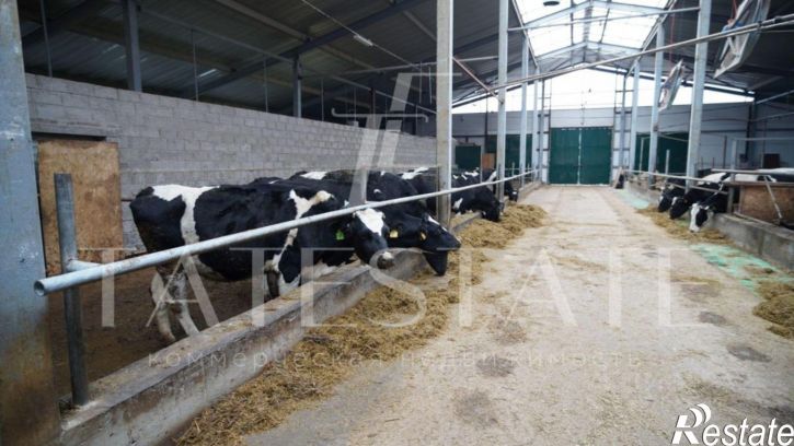 Производственное помещение улица Лебедевой, 30,  д. 30