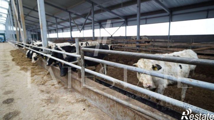 Производственное помещение улица Лебедевой, 30,  д. 30