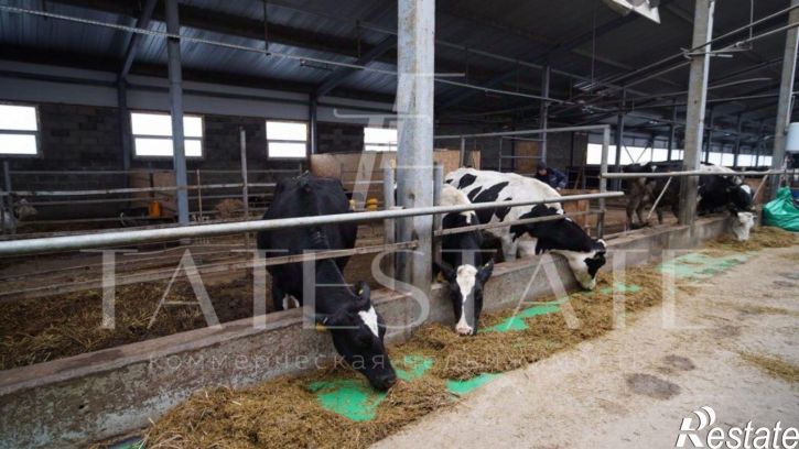 Производственное помещение улица Лебедевой, 30,  д. 30