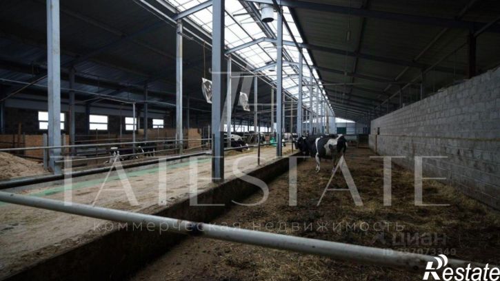 Производственное помещение улица Лебедевой, 30,  д. 30