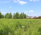 земля 17 сот ул. Пестречинская (Салмачи), дом 5