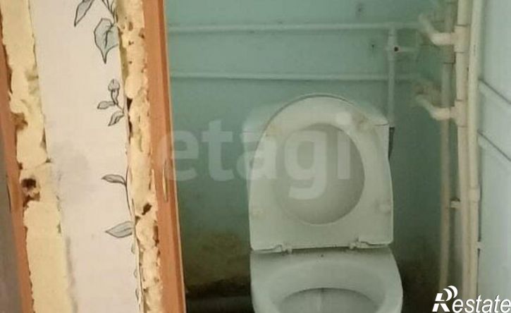 1-комн квартира улица Пушкина, 5,  д. 5