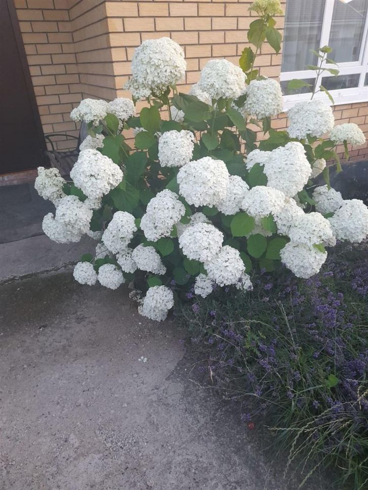 Коттедж/дом ул 30-й Квартал, д. 18/1