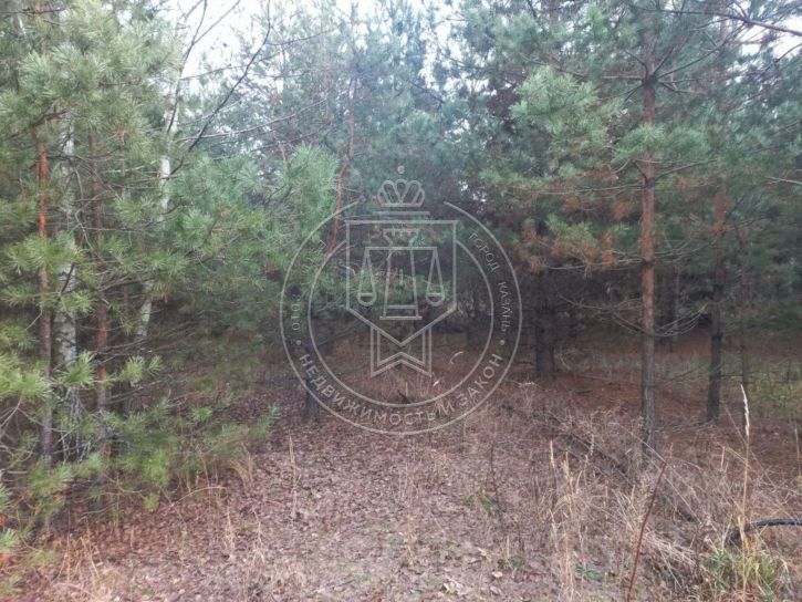 Земельный участок Орел