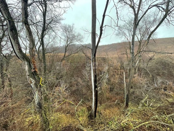 Земельный участок ул. Садовая, дом 50