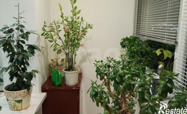 2-комн квартира улица Ленина, 120,  д. 120