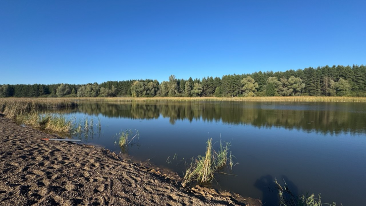 Земельный участок 1-я аллея, дом 671