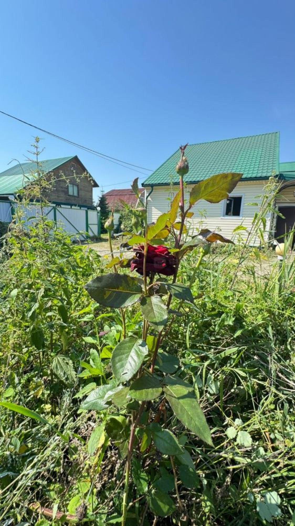 Купить дачу, дом, коттедж за 4 540 000 рублей на тер. сдт Идель, дом 147
