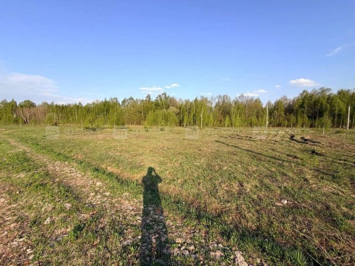Земельный участок ул. Николая Алтынова, дом 61
