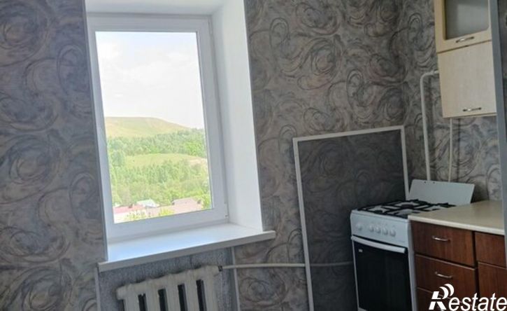 1-комн квартира ул Пушкина, 23,  д. 23