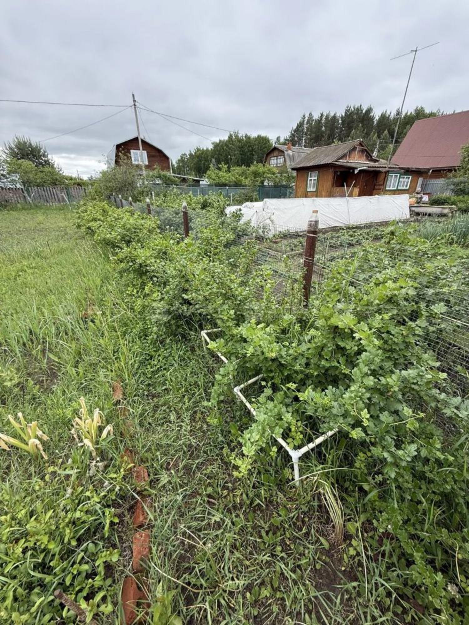 Купить дачу, дом, коттедж за 1 050 000 рублей на Участок, дом 41