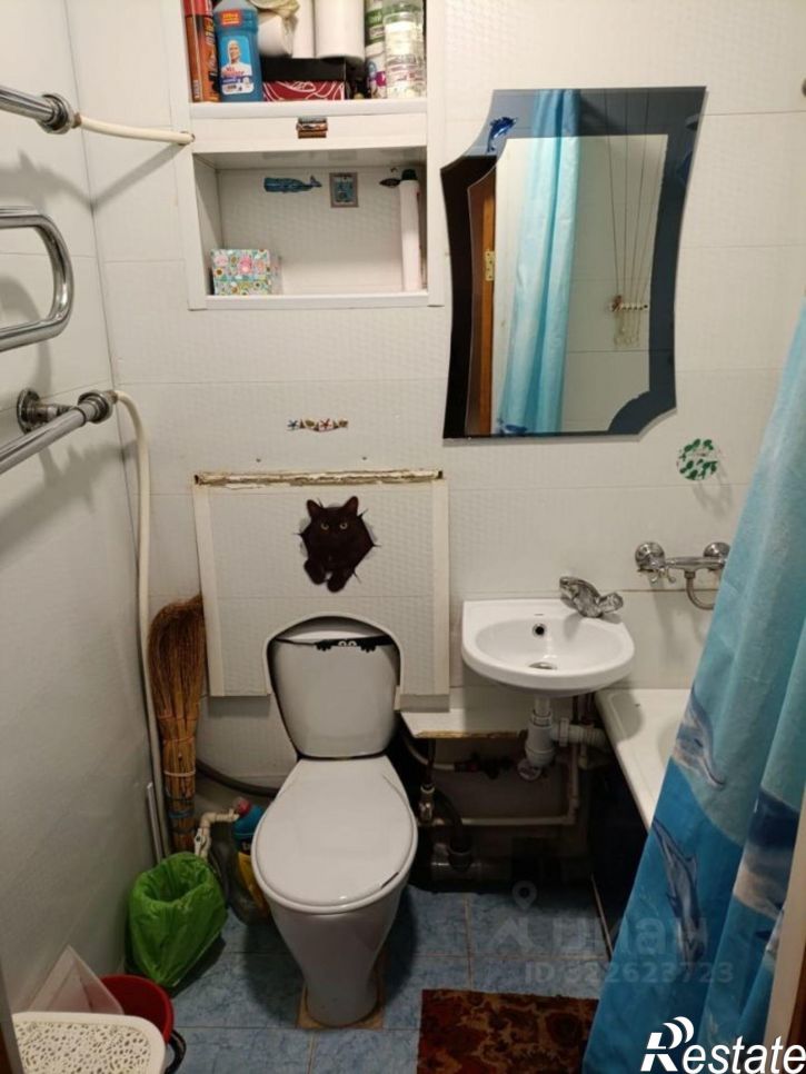 1-комн квартира улица Пушкина, 29,  д. 29