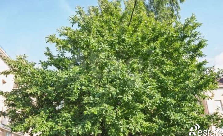 4-комн квартира Республика Татарстан (Татарстан), Альметьевск, улица Пушкина, 56