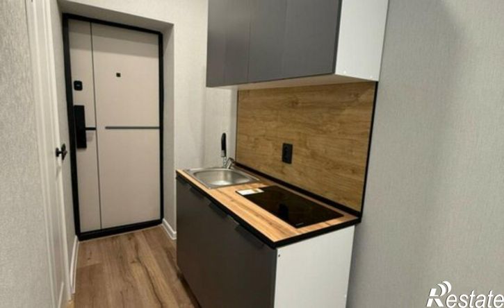 1-комн квартира Республика Татарстан (Татарстан), Казань, улица Сары Садыковой, 20
