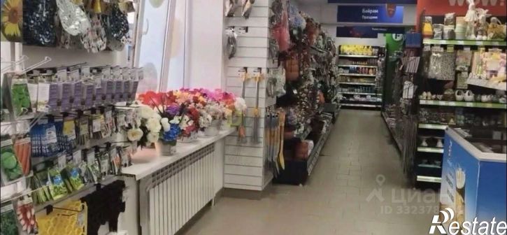 Торговое помещение Заинск, улица Орджоникидзе,дом 49