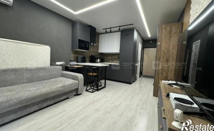 1-комн квартира Республика Татарстан (Татарстан), Казань, улица Ярышлар, 4