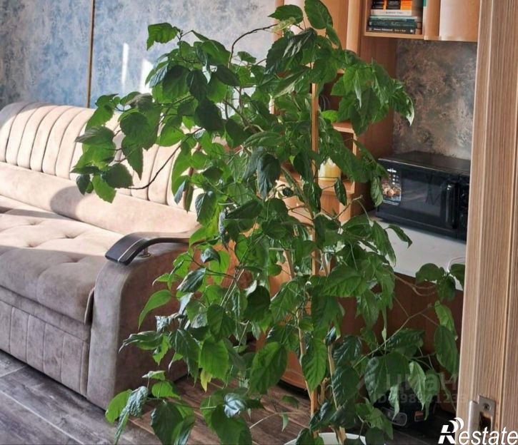2-комн квартира Нижнекамск