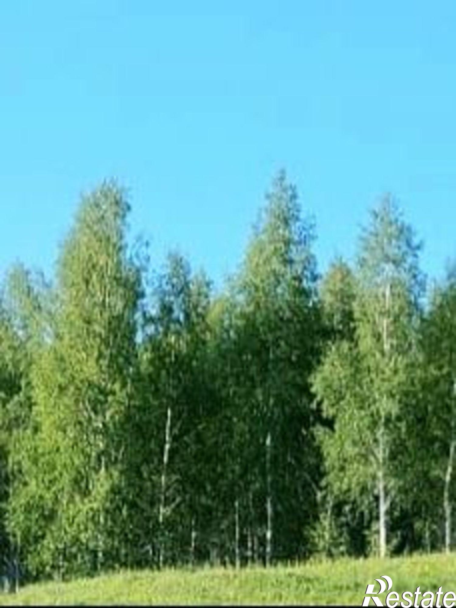 Купить землю, земельный участок за 300 000 рублей на дом 301