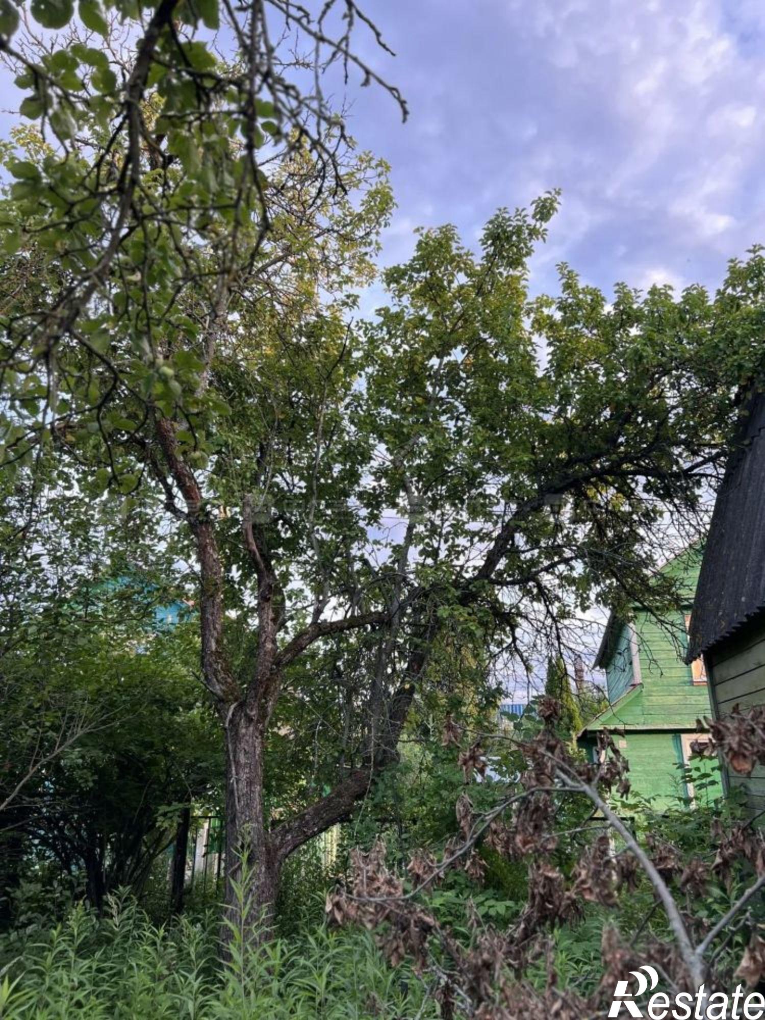 Купить дачу, дом, коттедж за 1 100 000 рублей на сад. Ромашка(КМПО), дом 78