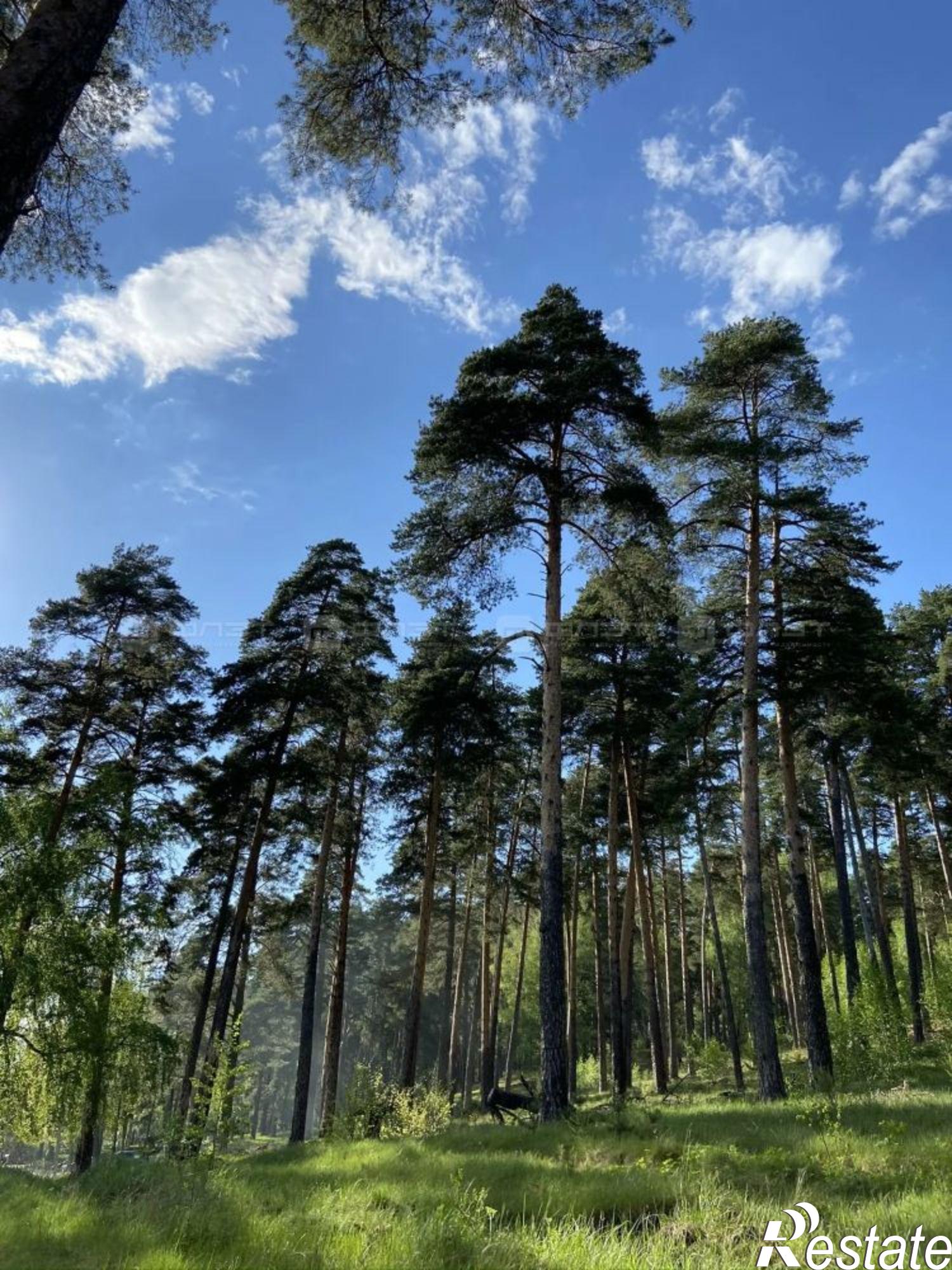Купить дачу, дом, коттедж за 1 100 000 рублей на сад. Ромашка(КМПО), дом 78