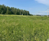 земля 5.2 сот ул. Сосновая