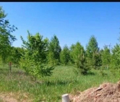 земля 6 сот ул. Береговая, дом 22