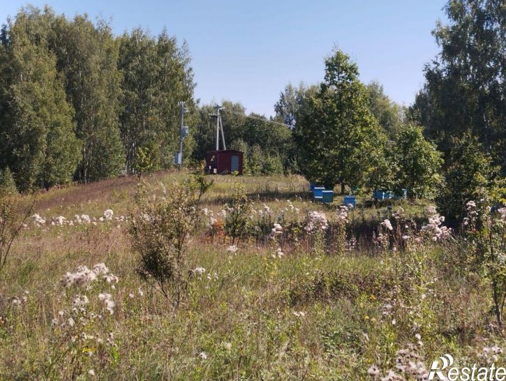 Земельный участок Старочурилинское сельское поселение