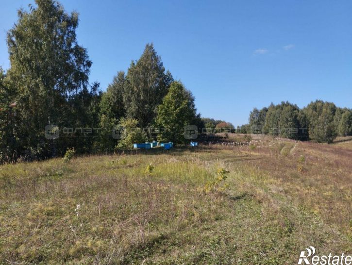Земельный участок Старочурилинское сельское поселение