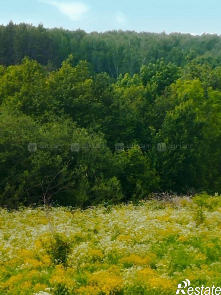 Земельный участок дом 390