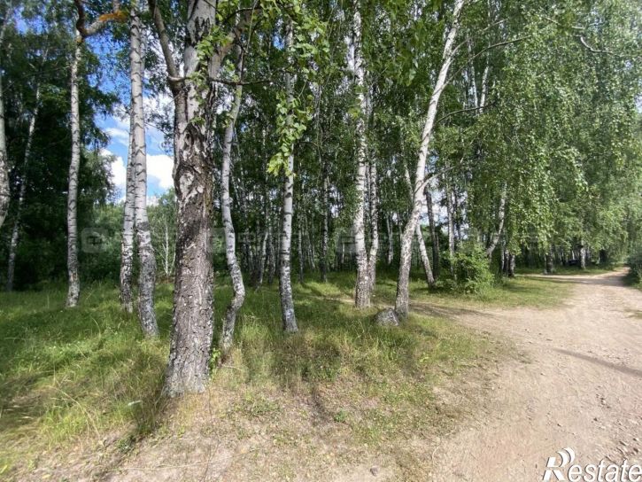 Земельный участок тер. СНТ. Нокса, дом 65