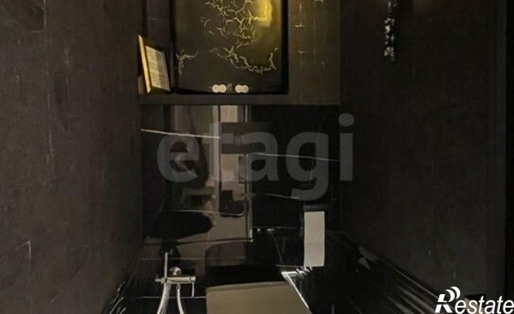 2-комн квартира Республика Татарстан (Татарстан), Казань, улица Фатыха Амирхана, 91А