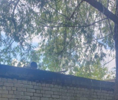 18 кв м Казань