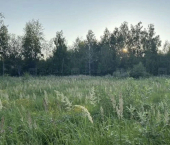 земля 10 сот 1-я аллея, дом 790