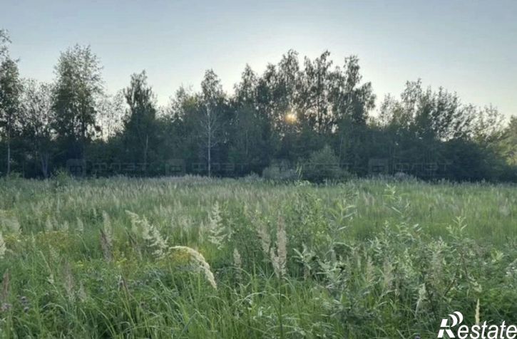 Земельный участок 1-я аллея, дом 790