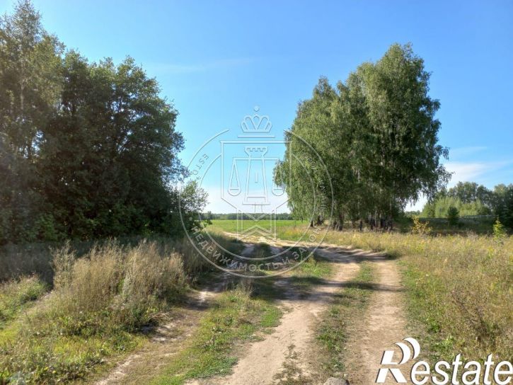 Земельный участок Большие Ключи, 18